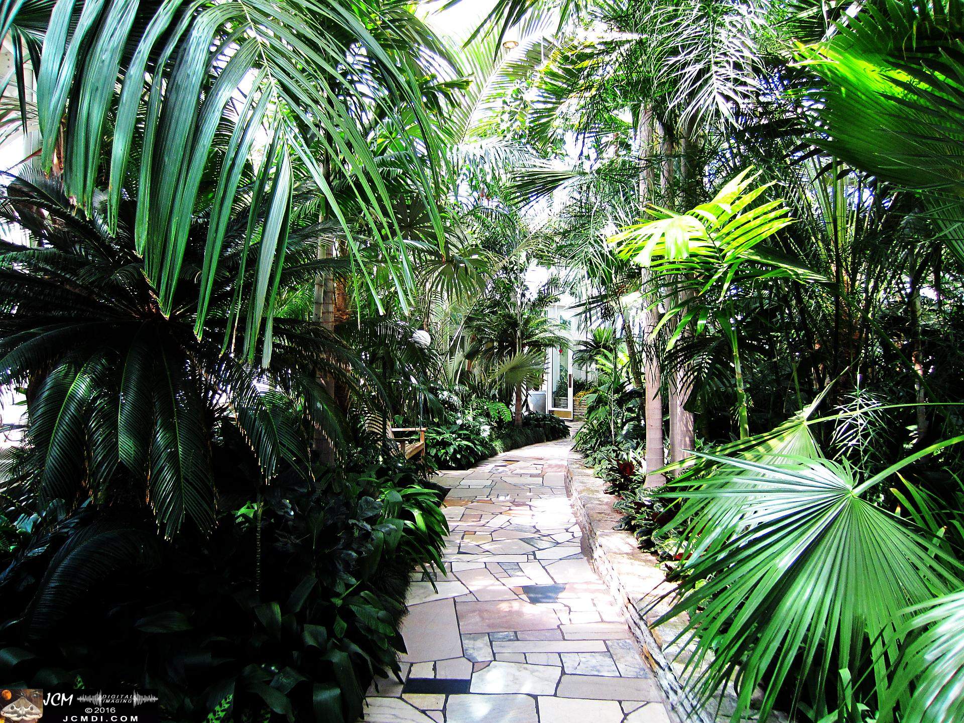 Como Zoo conservatory, MN tropical garden